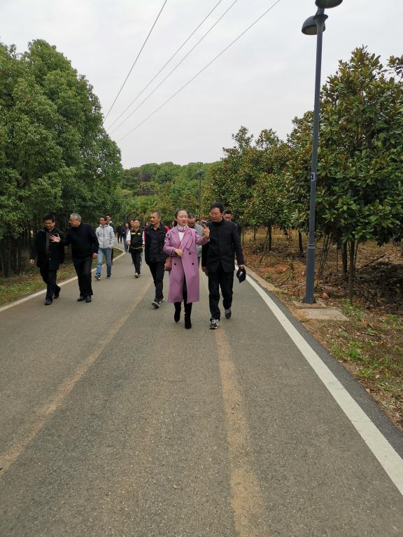 威廉希尔中文官网