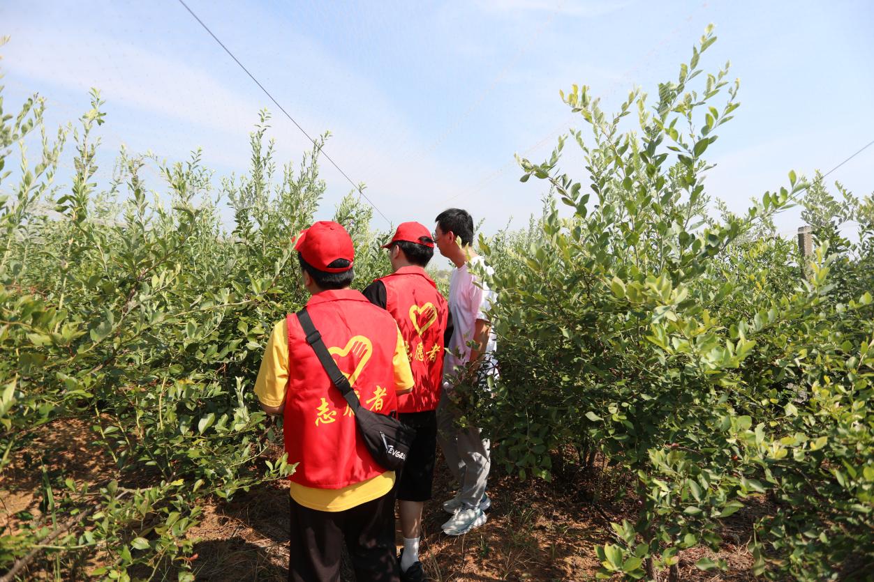 威廉希尔中文官网