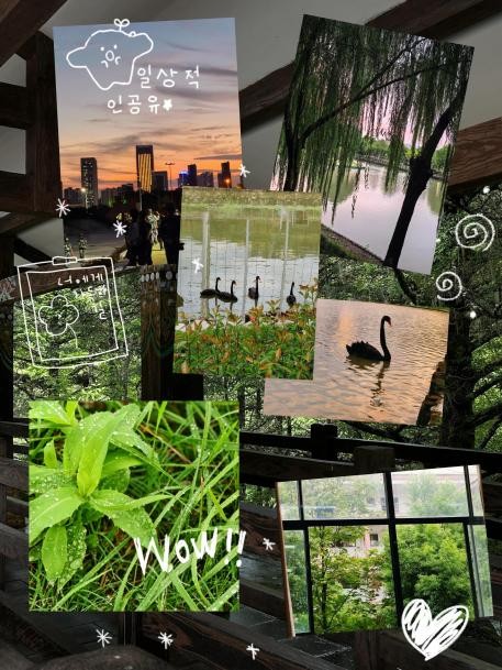 威廉希尔中文官网