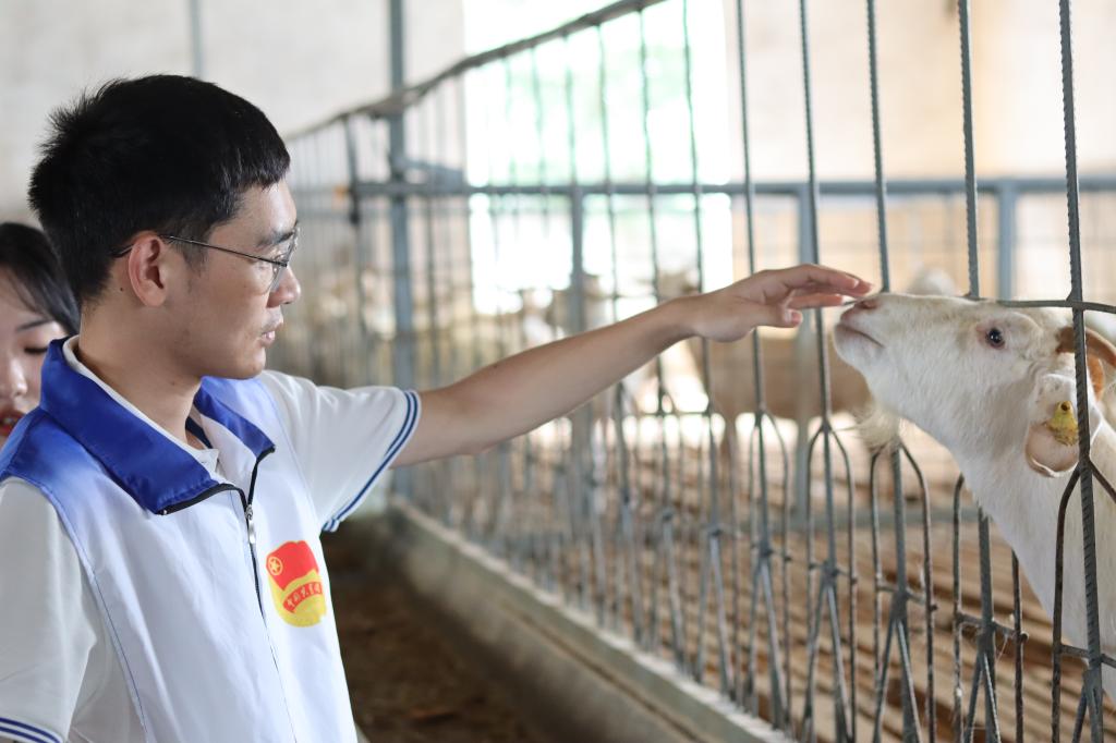 威廉希尔中文官网