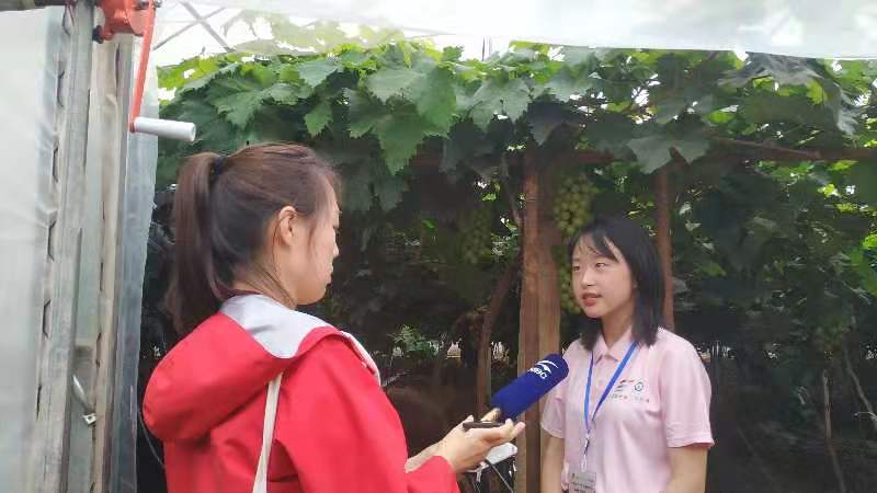 威廉希尔中文官网