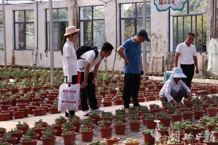 威廉希尔中文官网