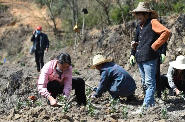 威廉希尔中文官网