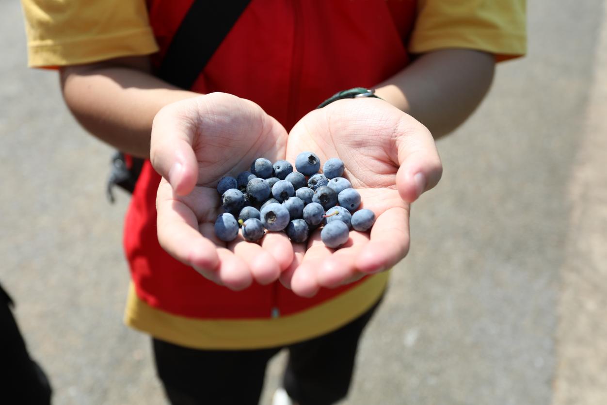 威廉希尔中文官网