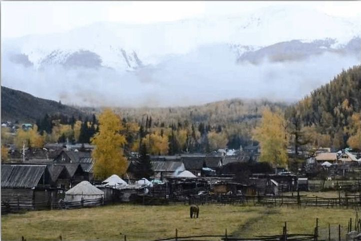 威廉希尔中文官网