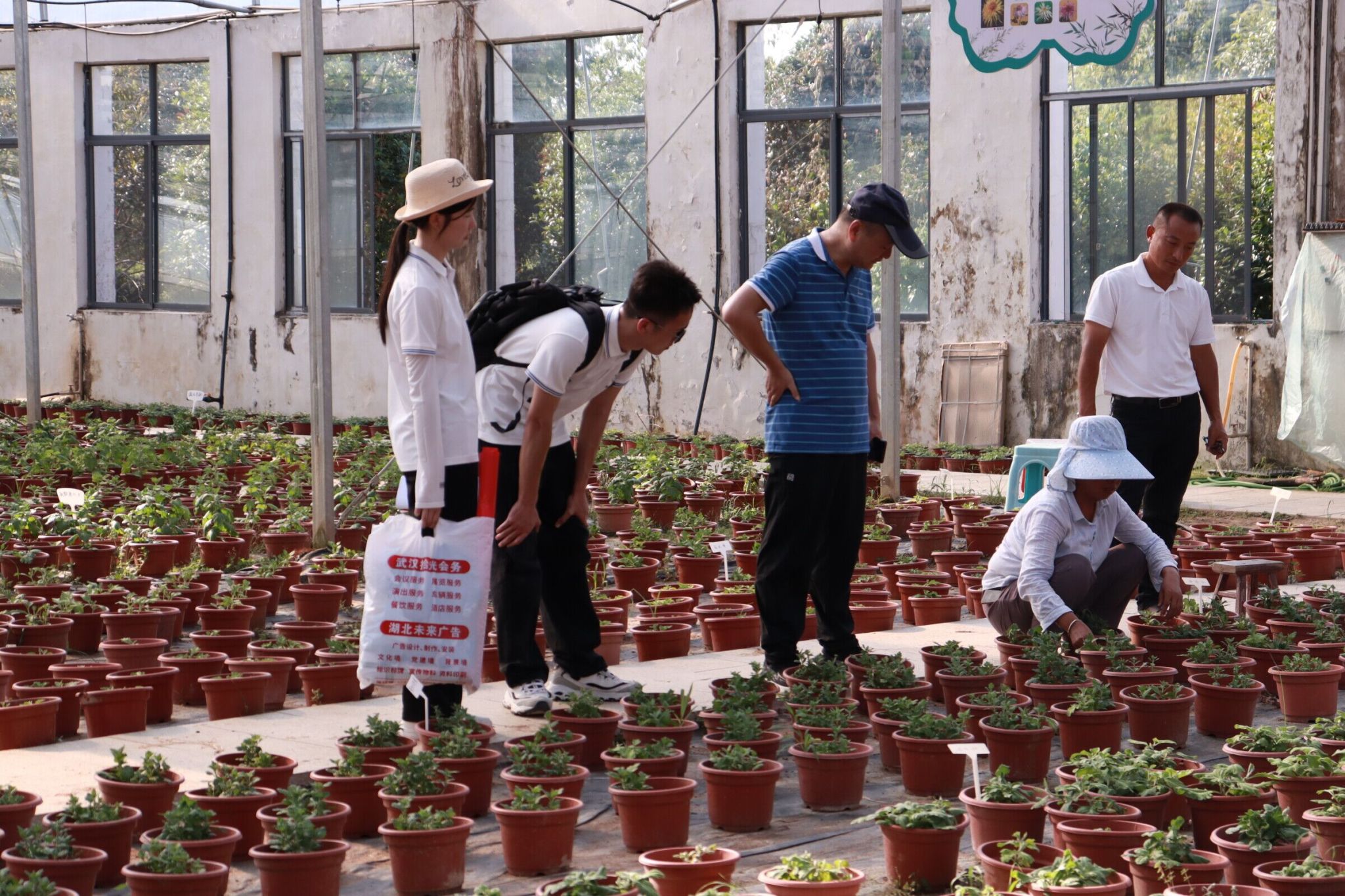 威廉希尔中文官网