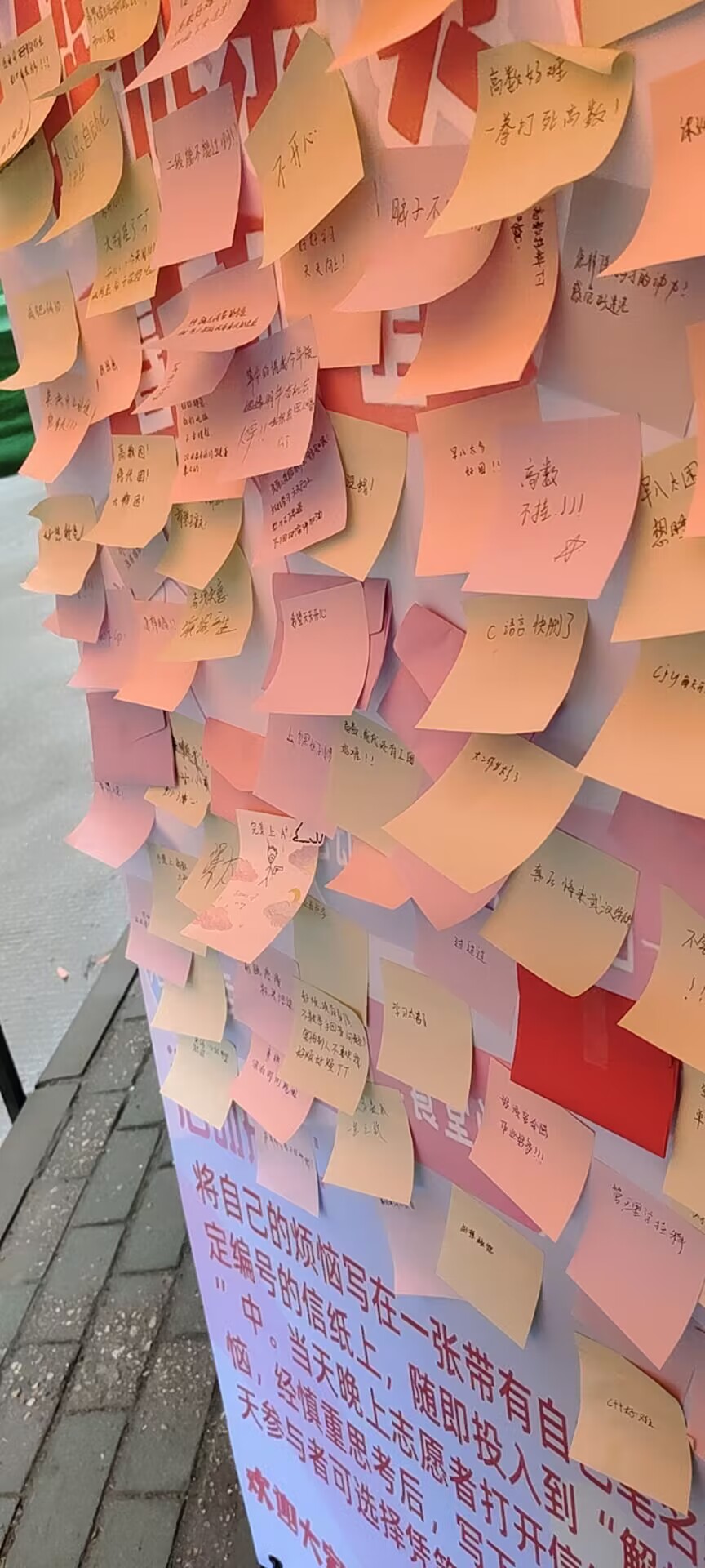 威廉希尔中文官网