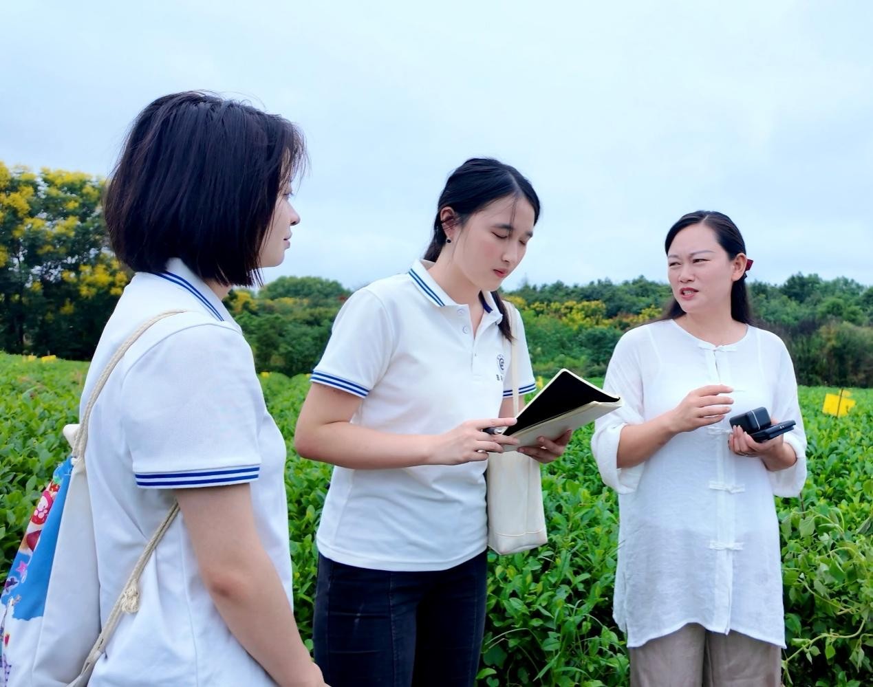 威廉希尔中文官网