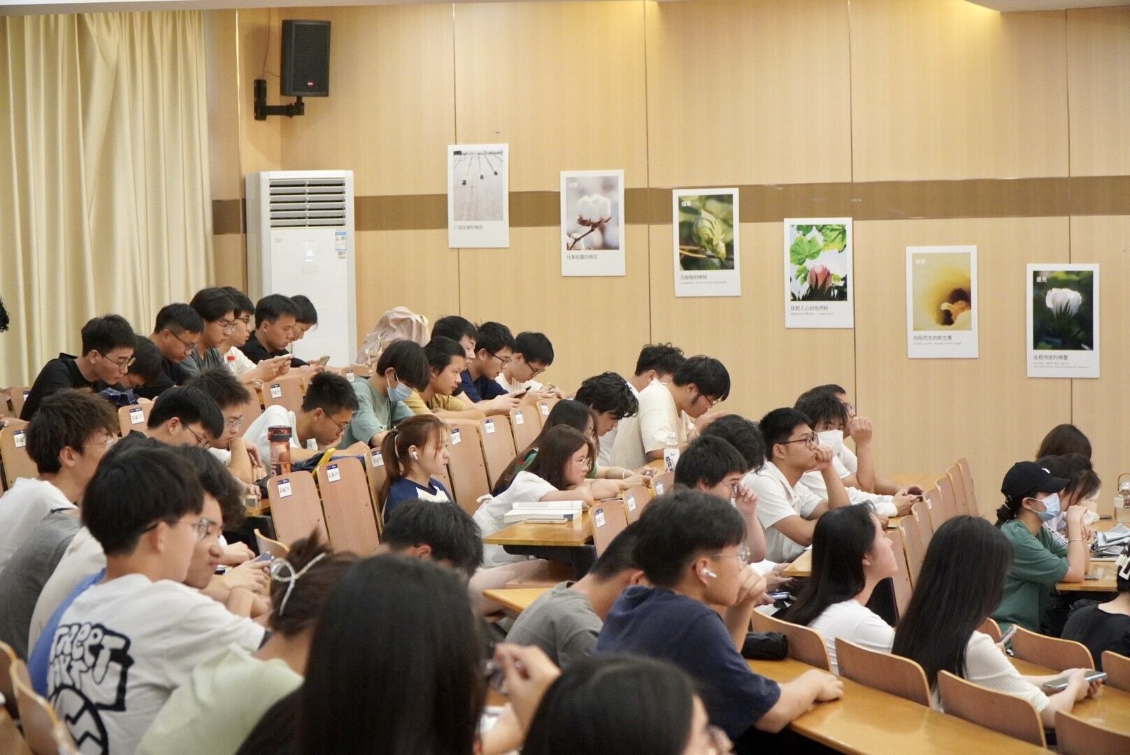 威廉希尔中文官网