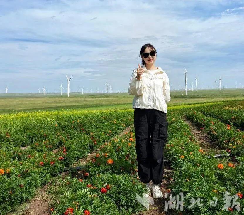 威廉希尔中文官网