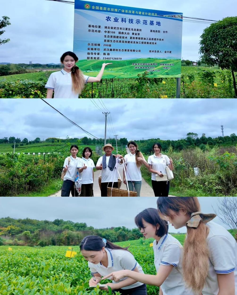 威廉希尔中文官网